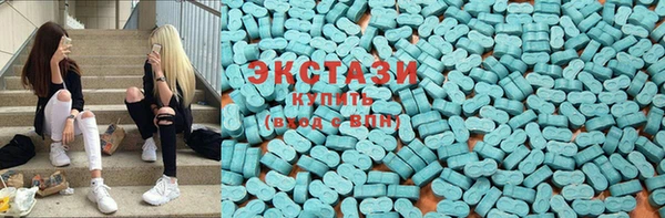 сатива Аркадак