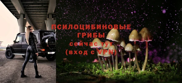 сатива Аркадак