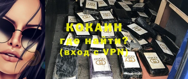 твердый Арсеньев