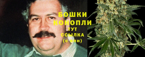твердый Арсеньев