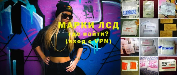 сатива Аркадак