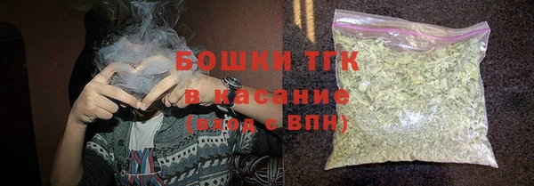 твердый Арсеньев