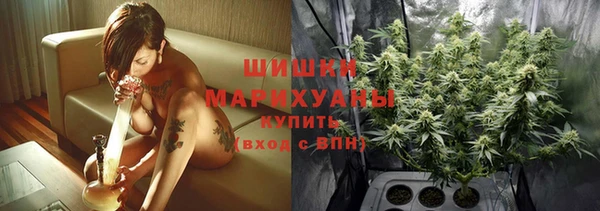 сатива Аркадак